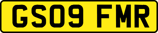 GS09FMR
