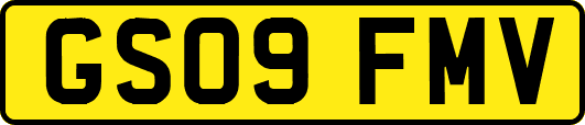 GS09FMV