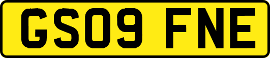 GS09FNE