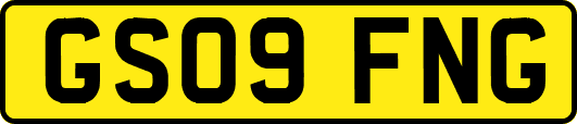 GS09FNG