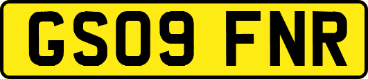 GS09FNR
