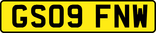 GS09FNW