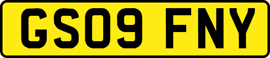 GS09FNY