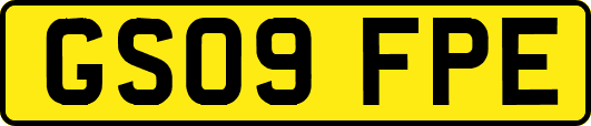 GS09FPE
