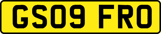 GS09FRO