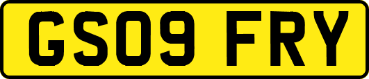 GS09FRY