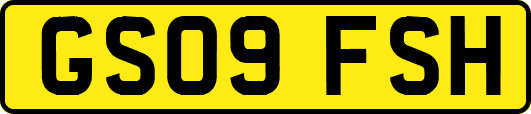 GS09FSH