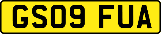 GS09FUA