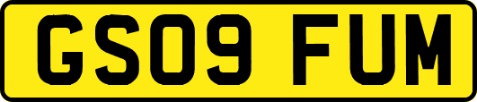 GS09FUM