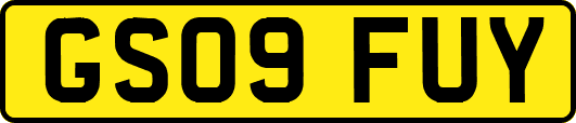GS09FUY