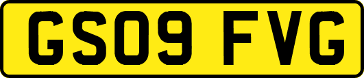 GS09FVG
