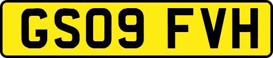 GS09FVH