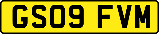 GS09FVM