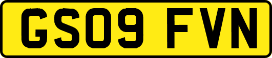 GS09FVN