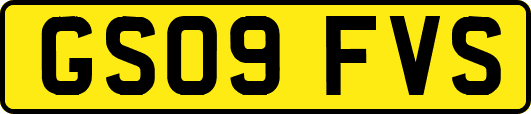 GS09FVS