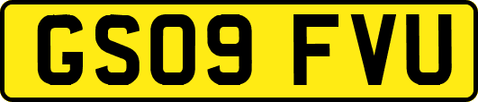 GS09FVU