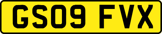 GS09FVX