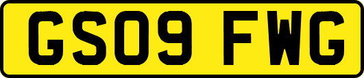 GS09FWG