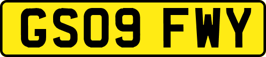 GS09FWY