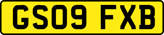 GS09FXB