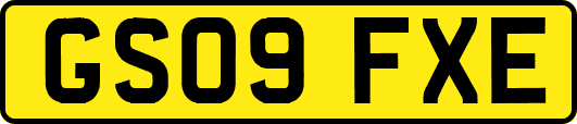 GS09FXE