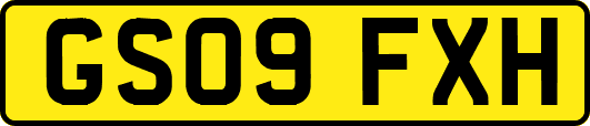 GS09FXH