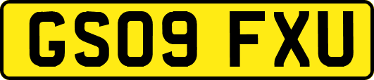 GS09FXU