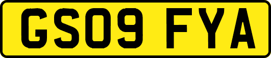 GS09FYA