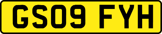 GS09FYH