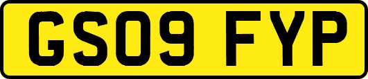 GS09FYP
