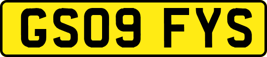 GS09FYS