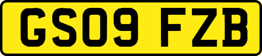 GS09FZB