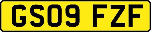 GS09FZF