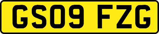 GS09FZG