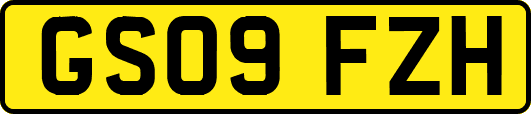 GS09FZH