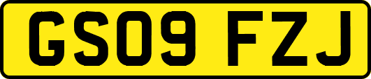 GS09FZJ