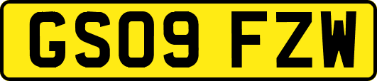 GS09FZW