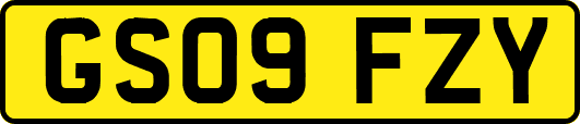 GS09FZY