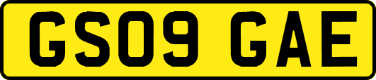GS09GAE