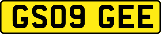 GS09GEE