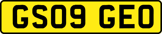 GS09GEO