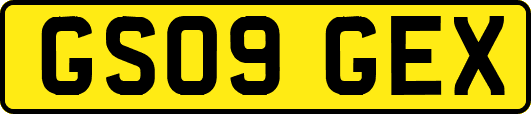 GS09GEX