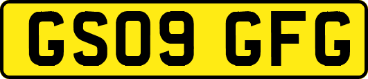 GS09GFG