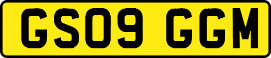GS09GGM