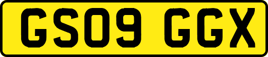 GS09GGX