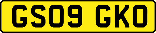 GS09GKO