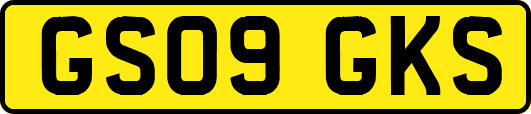 GS09GKS