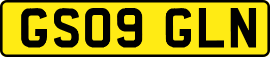 GS09GLN