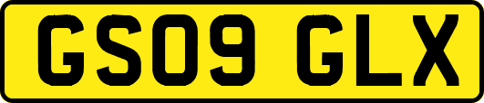 GS09GLX