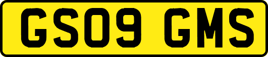 GS09GMS